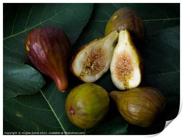 Figs on Leaves Print by Angelo DeVal