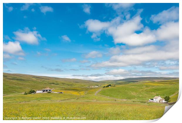 Summer Morning in Harwood, Teesdale Print by Richard Laidler