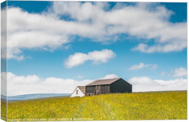 Barns in a Hay Meadow, Teesdale Canvas Print by Richard Laidler
