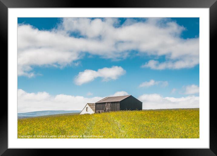 Barns in a Hay Meadow, Teesdale Framed Mounted Print by Richard Laidler