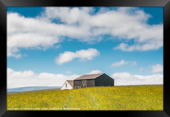 Barns in a Hay Meadow, Teesdale Framed Print by Richard Laidler