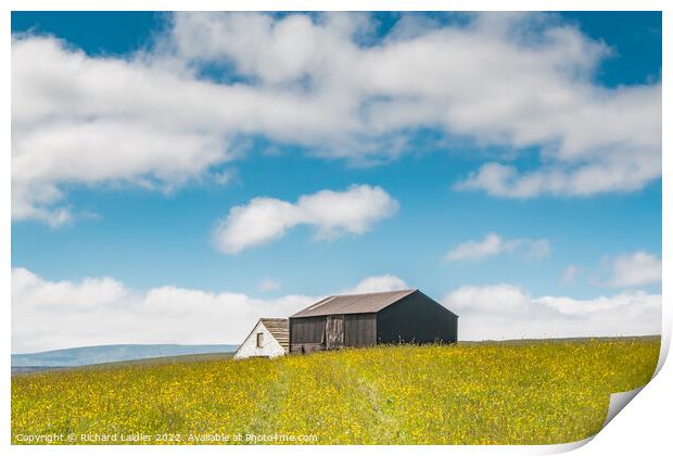 Barns in a Hay Meadow, Teesdale Print by Richard Laidler