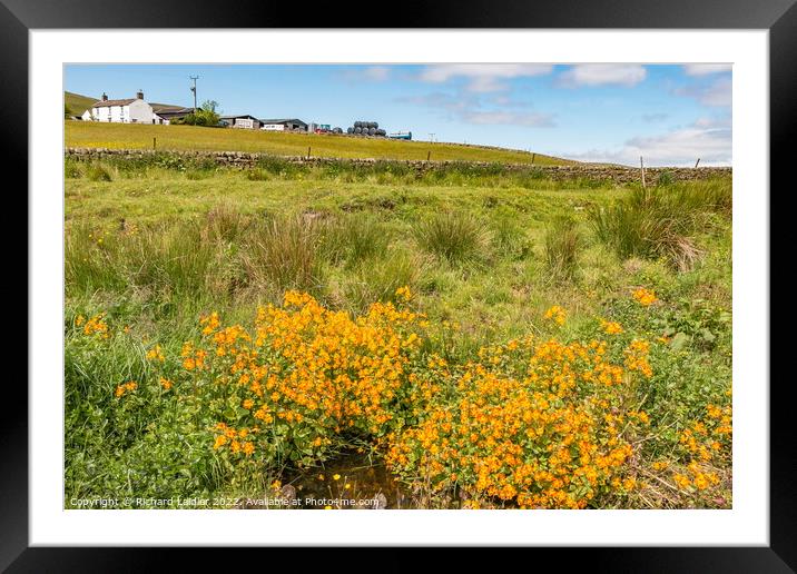 Stoney Hill Farm, Harwood, Teesdale Framed Mounted Print by Richard Laidler