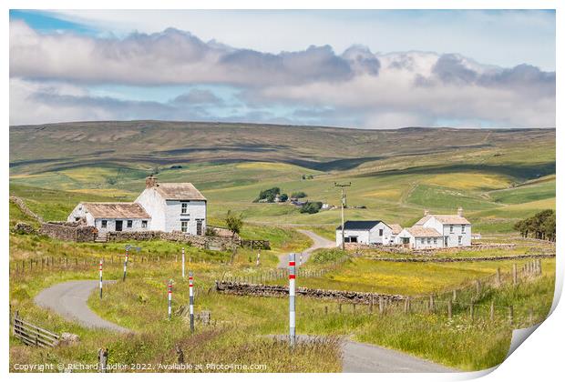 Honey Pot and Unthank Harwood, Teesdale Print by Richard Laidler