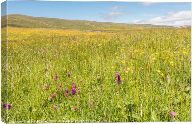 Harwood Hay Meadow, Teesdale (2) Canvas Print by Richard Laidler