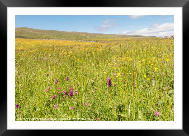 Harwood Hay Meadow, Teesdale (2) Framed Mounted Print by Richard Laidler