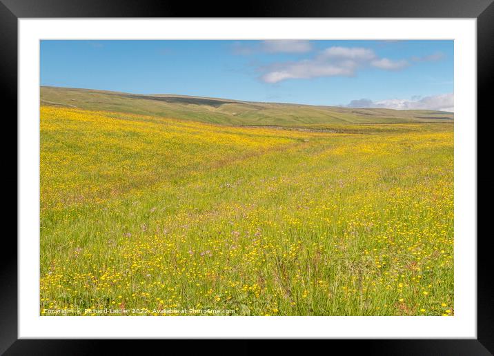 Harwood Hay Meadow, Teesdale (1) Framed Mounted Print by Richard Laidler