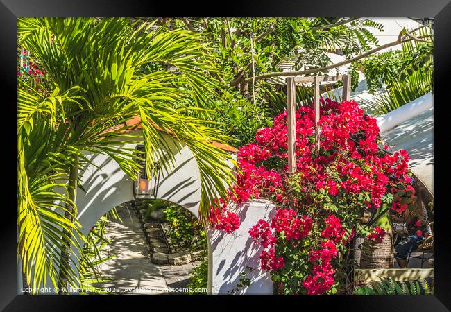 Arch Red Bougainvillea Restaurant Miami Beach Florida Framed Print by William Perry