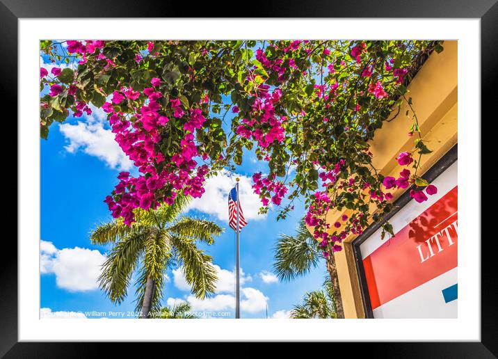 Red Bougainvillea Flag Little Havana Miami Florida Framed Mounted Print by William Perry