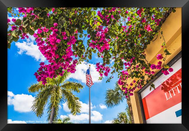 Red Bougainvillea Flag Little Havana Miami Florida Framed Print by William Perry