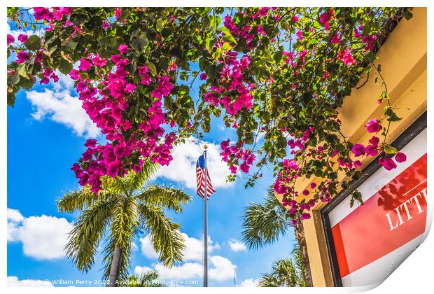 Red Bougainvillea Flag Little Havana Miami Florida Print by William Perry