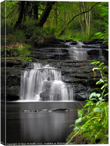 Double Waterfalls Portrait Canvas Print by Ross McNeillie