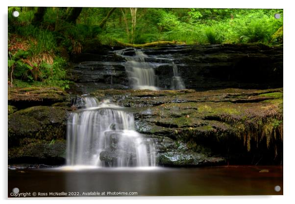 Serene Scottish Waterfall Scene Acrylic by Ross McNeillie