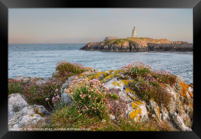 Goleudy Tŵr Bach, Anglesey  Framed Print by Neil Holman