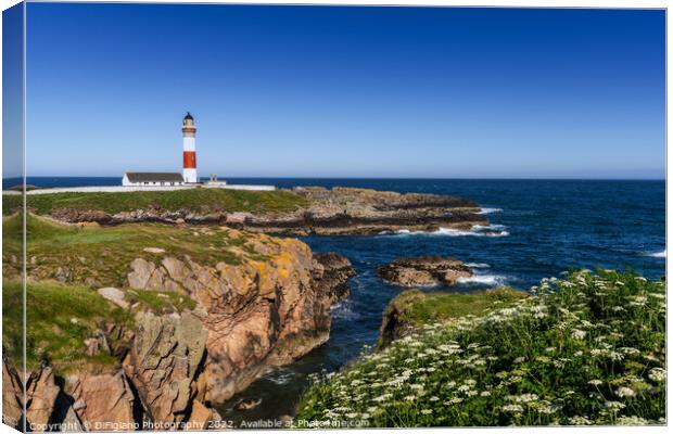 Buchan Ness Lighthouse Canvas Print by DiFigiano Photography