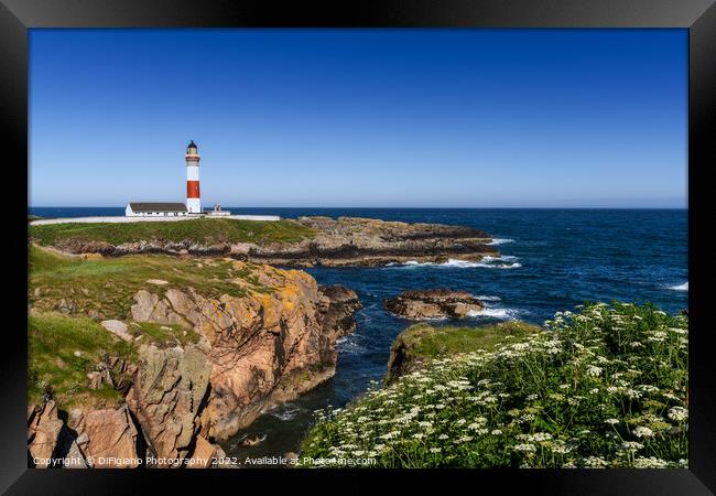 Buchan Ness Lighthouse Framed Print by DiFigiano Photography