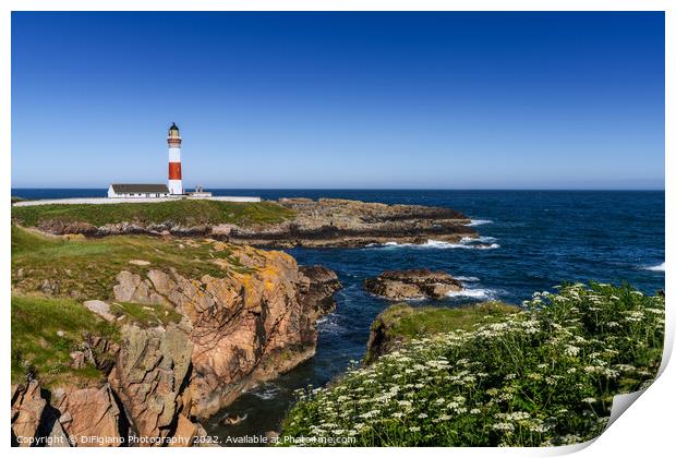 Buchan Ness Lighthouse Print by DiFigiano Photography