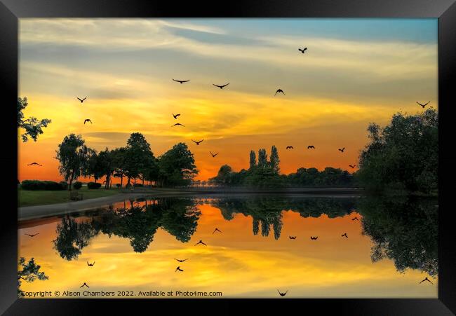 Pontefract Park Sunset Framed Print by Alison Chambers