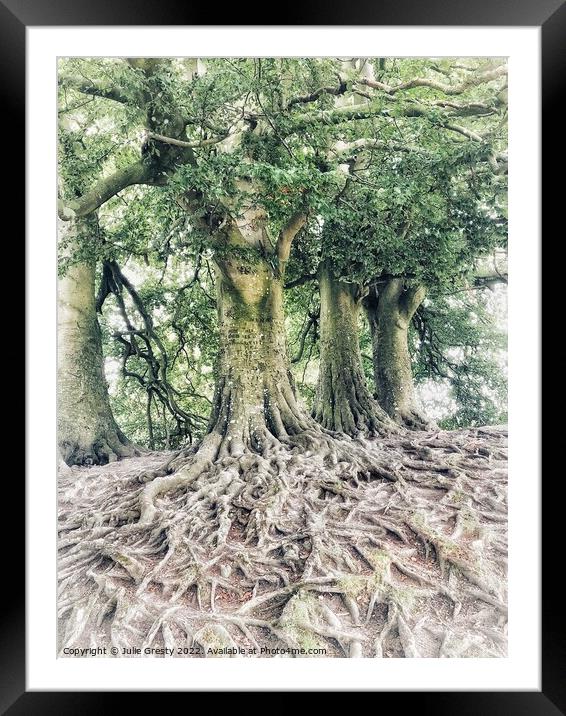 J.R.R. Tolkien Trees, Avebury, Wiltshire Framed Mounted Print by Julie Gresty