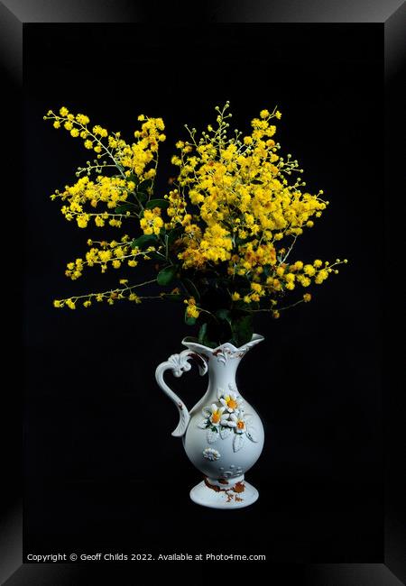 Wattle blossoms in a white ceramic vase on black. Framed Print by Geoff Childs