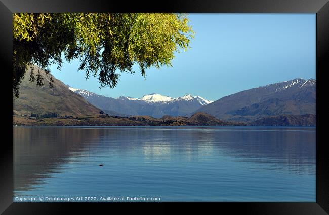 New Zealand, Lake Wanaka landscape Framed Print by Delphimages Art