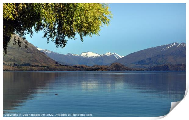 New Zealand, Lake Wanaka landscape Print by Delphimages Art