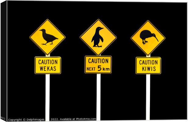 New Zealand road signs Canvas Print by Delphimages Art