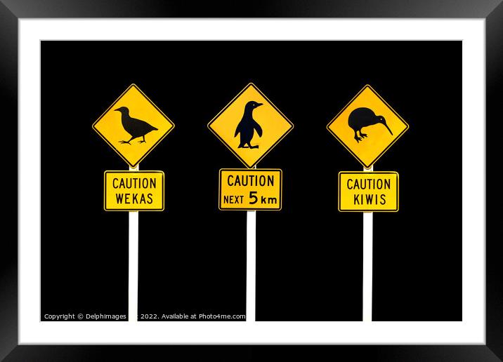 New Zealand road signs Framed Mounted Print by Delphimages Art
