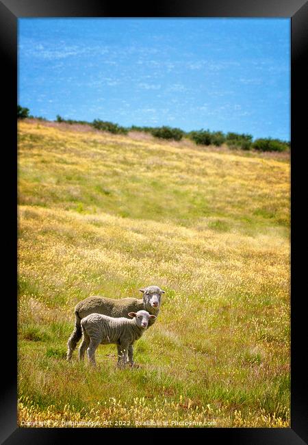 New Zealand, sheep and lamb Framed Print by Delphimages Art