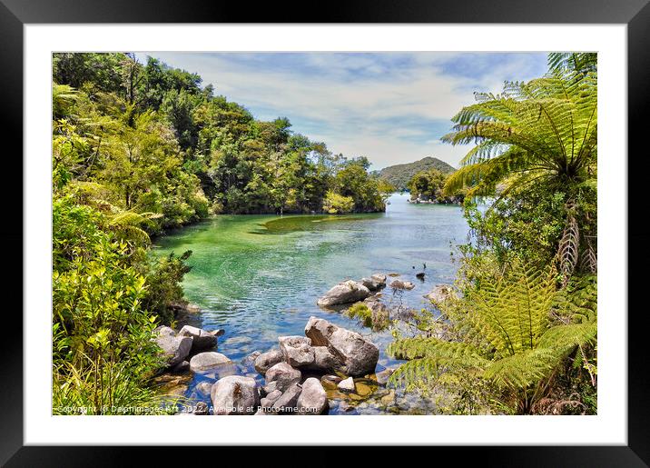 New Zealand Abel Tasman landscape Framed Mounted Print by Delphimages Art