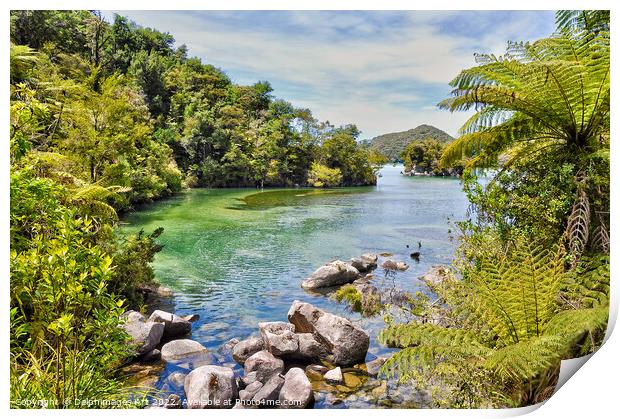 New Zealand Abel Tasman landscape Print by Delphimages Art