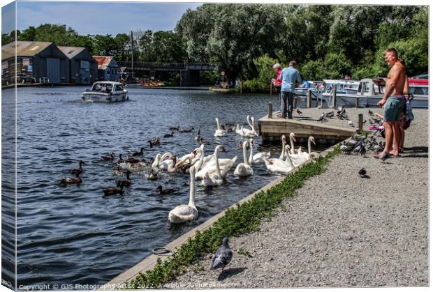 Busy On The Broads Canvas Print by GJS Photography Artist