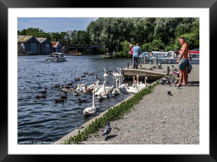 Busy On The Broads Framed Mounted Print by GJS Photography Artist