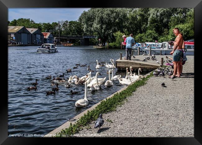 Busy On The Broads Framed Print by GJS Photography Artist