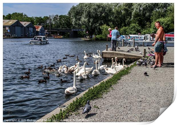 Busy On The Broads Print by GJS Photography Artist