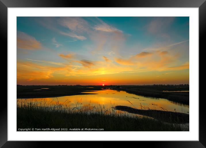 Lincolnshire Sunset  Framed Mounted Print by Tom Hartfil-Allgood