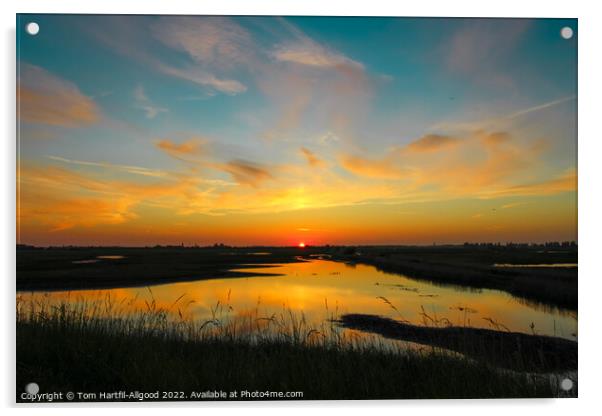 Lincolnshire Sunset  Acrylic by Tom Hartfil-Allgood