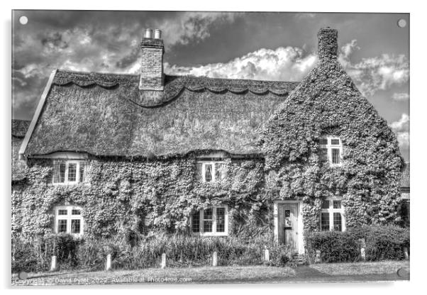 Thatched Cottage  Acrylic by David Pyatt