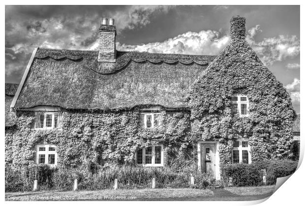 Thatched Cottage  Print by David Pyatt
