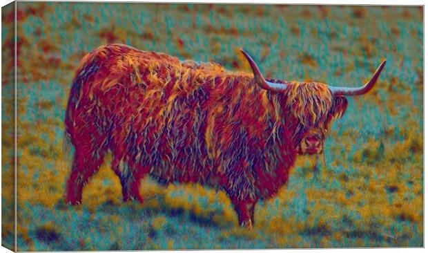 multi coloured cow,The Highland cow  Canvas Print by kathy white
