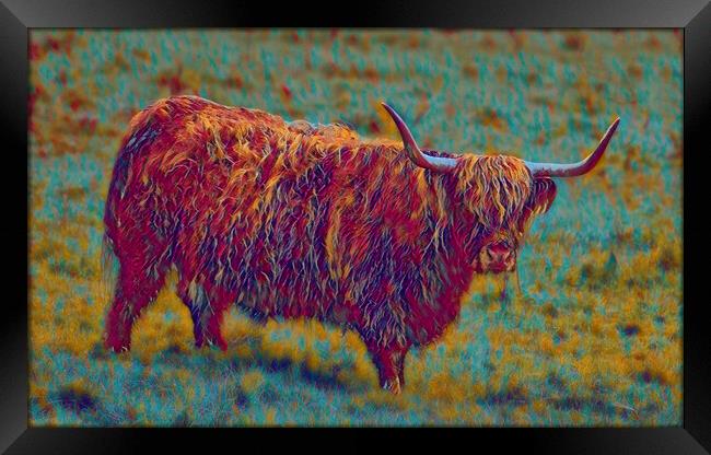 multi coloured cow,The Highland cow  Framed Print by kathy white