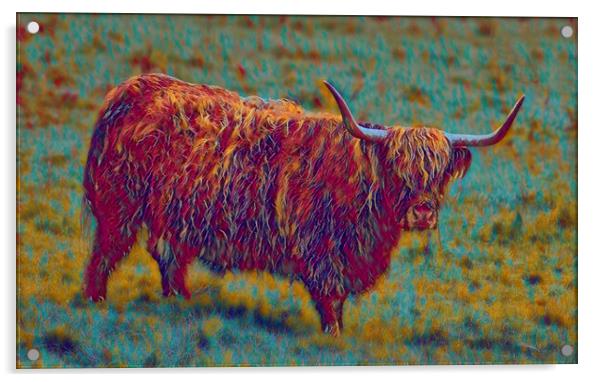 multi coloured cow,The Highland cow  Acrylic by kathy white