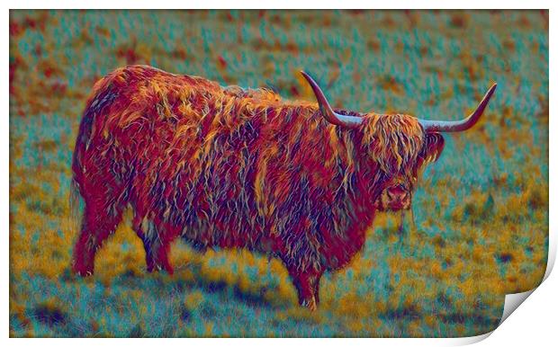 multi coloured cow,The Highland cow  Print by kathy white