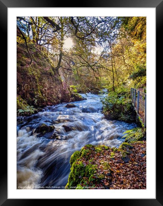 Ness Glen in Autumn Framed Mounted Print by Rodney Hutchinson