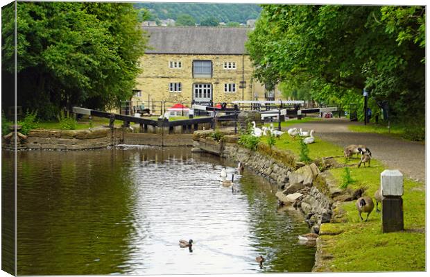 Canalside at Sowerby Bridge. Canvas Print by David Birchall