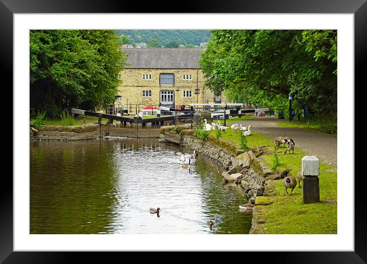 Canalside at Sowerby Bridge. Framed Mounted Print by David Birchall