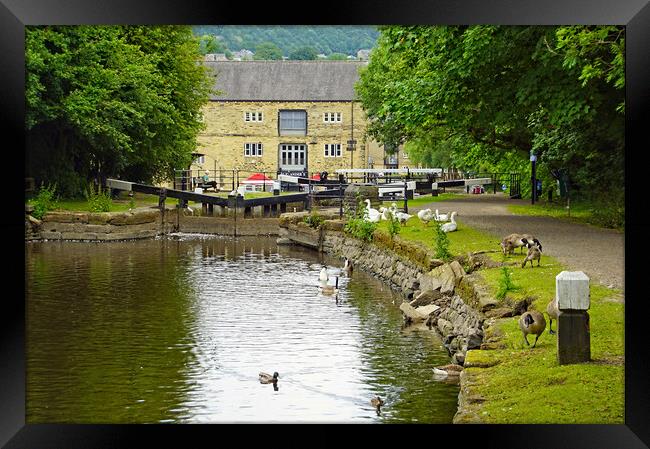 Canalside at Sowerby Bridge. Framed Print by David Birchall