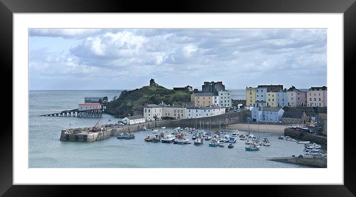 Panoramic View of Tenby Harbour Framed Mounted Print by Steve Purnell