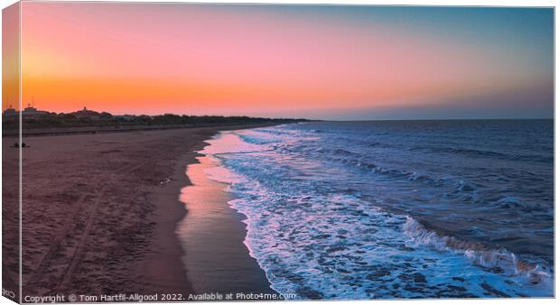 Mablethorpe Beach Sunset  Canvas Print by Tom Hartfil-Allgood