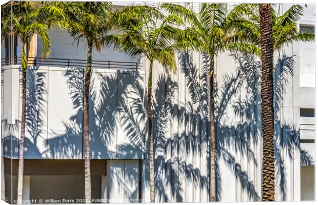 Palm Trees Shadows Building Miami Beach Florida Canvas Print by William Perry